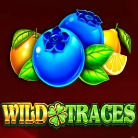 Wild Traces – slot by Amusnet Interactive, featured at winbeatzcasino.eu